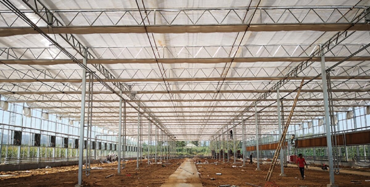 信橋鋼構(gòu)：打卡蒙陰農(nóng)業(yè)溫室大棚、青州黑牛養(yǎng)殖基地！(圖3)