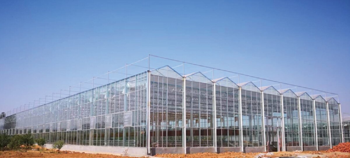 信橋鋼構(gòu)：打卡蒙陰農(nóng)業(yè)溫室大棚、青州黑牛養(yǎng)殖基地！(圖2)